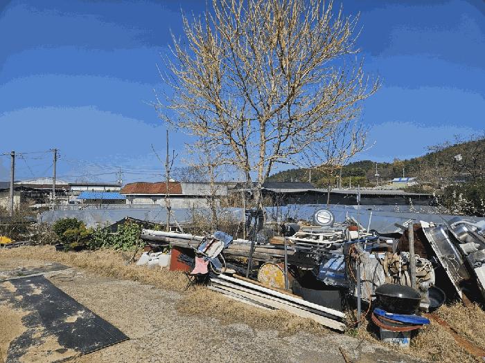 경상북도 영천시 금호읍 262-1 사진 15